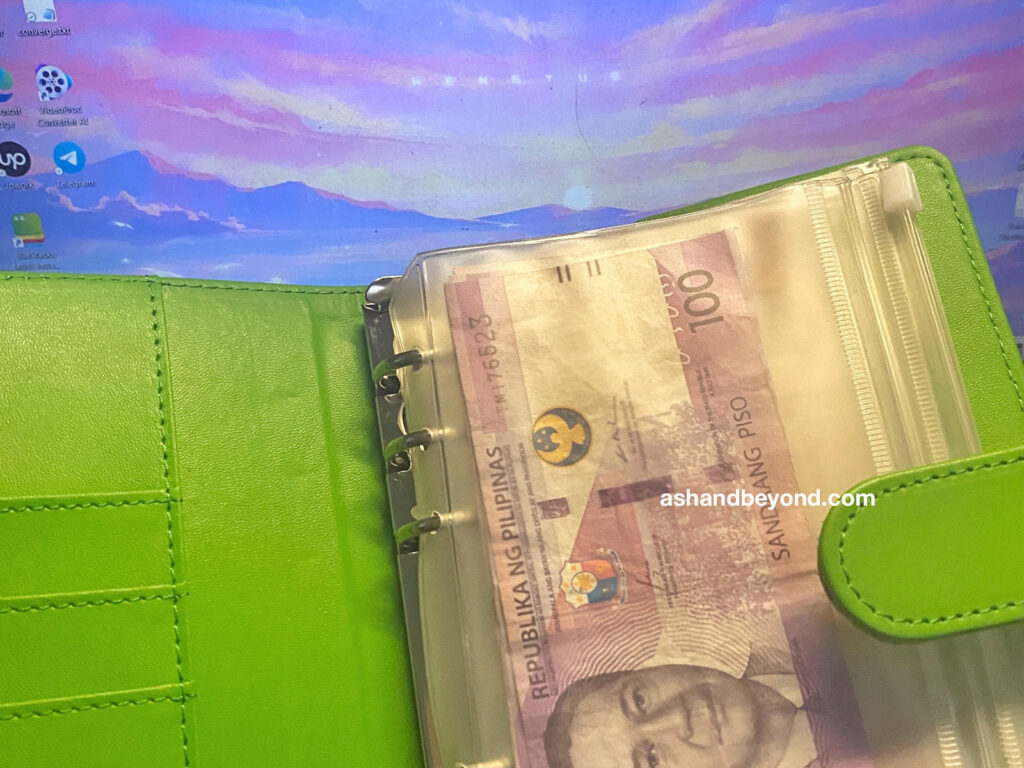 My 100 Peso A Day Challenge for 365 days